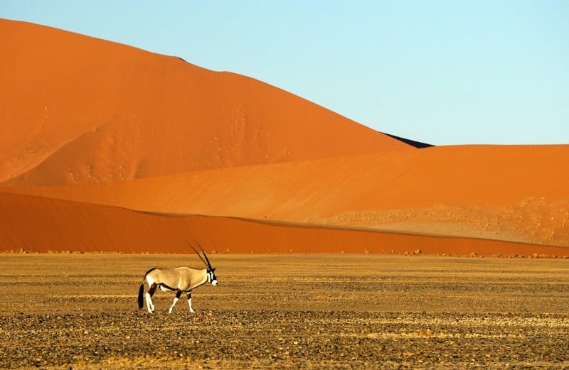 Namibia passport